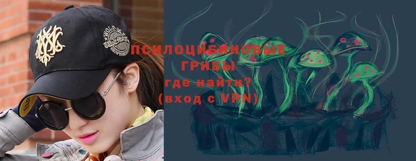 твердый Бикин