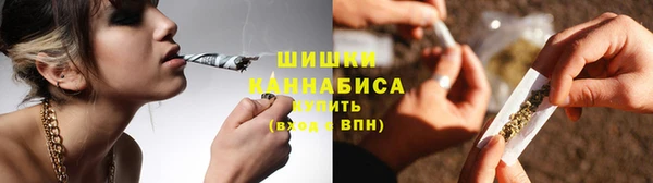 твердый Бикин