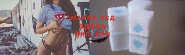 мяу мяу мука Беслан