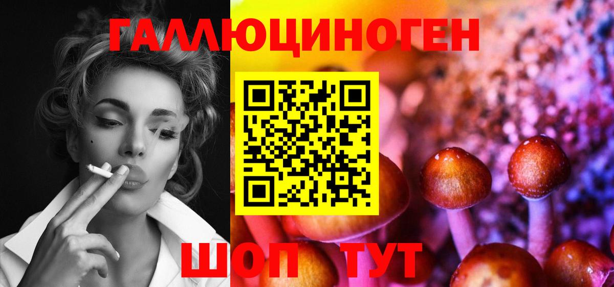 Зеленогорск  Псилоцибиновые грибы мицелий  Вход с VPN 