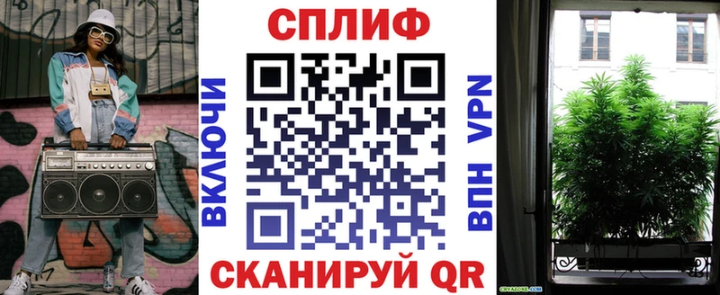 Бошки Шишки конопля  купить наркотик  Зеленогорск 